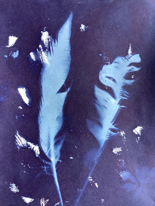 Cyanotype 2