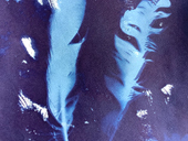 Cyanotype 2